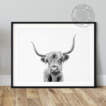 Highland Cow Scotland Noanahiko Art Print 0153