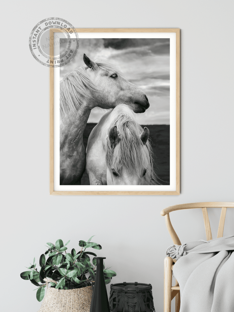 Scottish Horses Poster noanahiko wall art photo printable