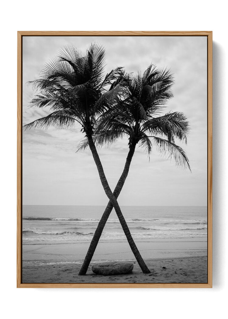 Coconut Tree On The Beach Poster