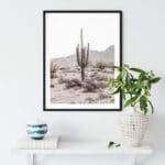 Grand Canyon Cactus L Noanahiko Printable 0196 01
