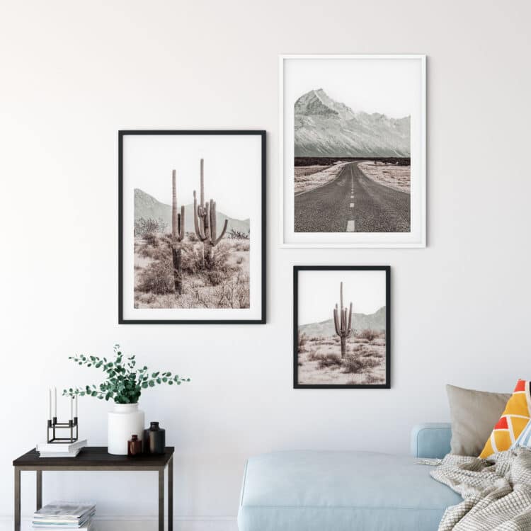 Grand Canyon Set 3 Desert Cactus Poster photography Noanahiko 0196