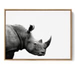 Rhinoceros African Poster