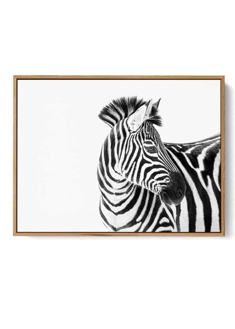 Zebra Head Poster