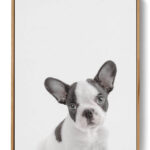 Bulldog Puppy Noanahiko Printable Wall Art 0201