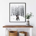 Winter Nature Reindeer Snow poster print Noanahiko 0207