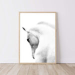 Instant Download Spanish White Horse Headshot noanahiko art print 0242
