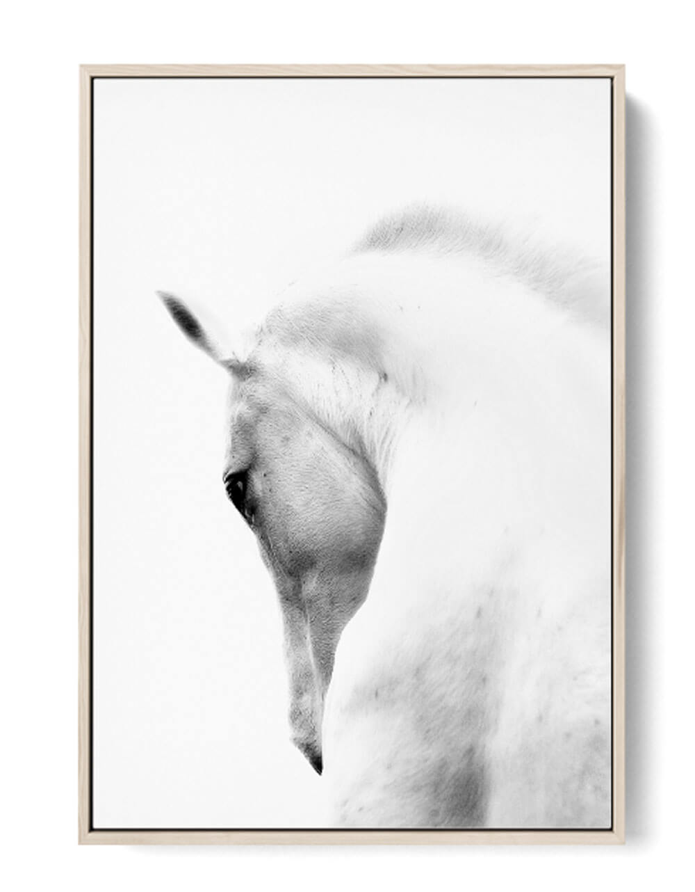 Stunning Spanish White Horse Portrait printable nonahiko art print 0242