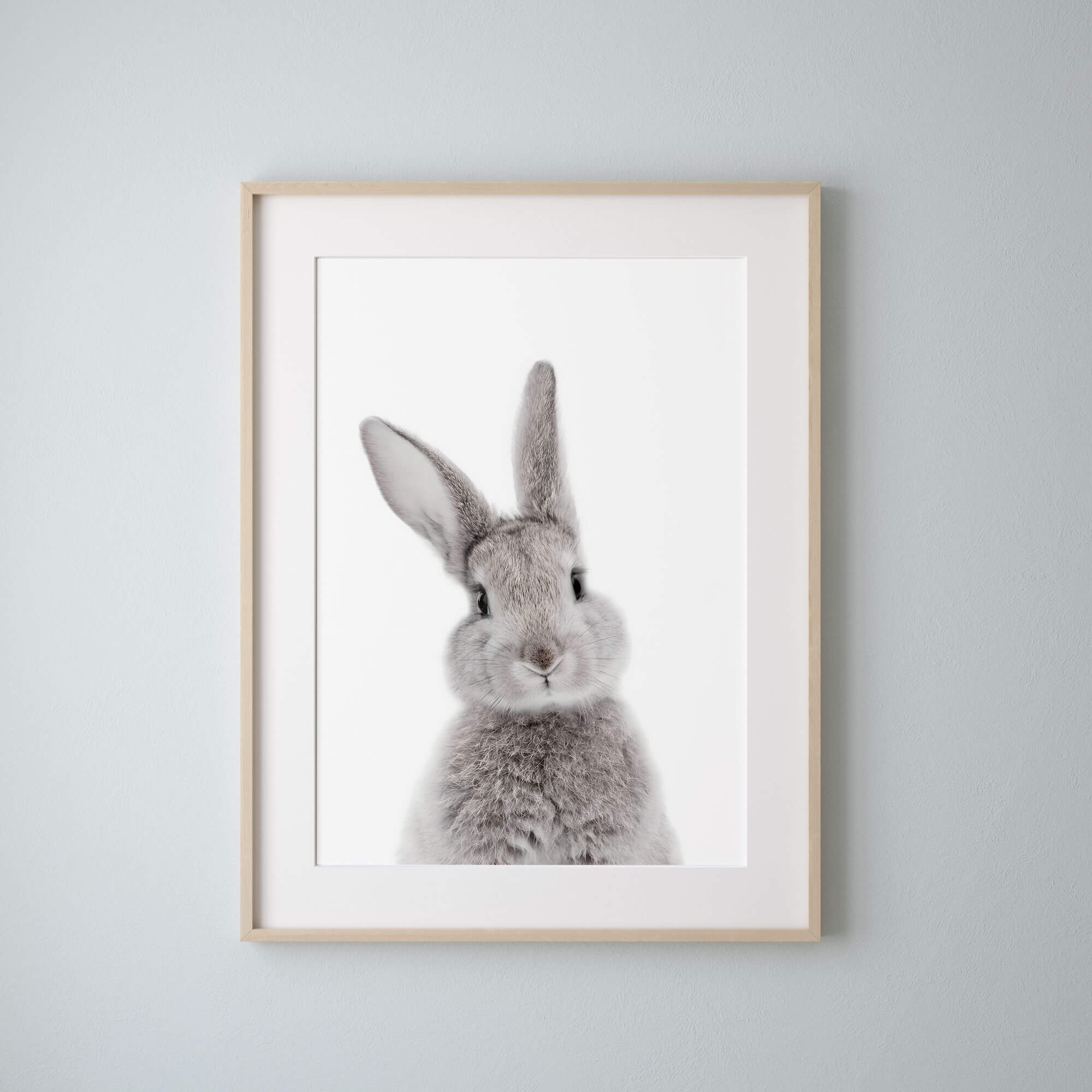 Baby Rabbit Bunny photography Nursery Wall Art
