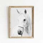 Digital Art Downloads Elegant White Horse Printable Wall Art