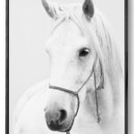 Elegant White Horse Printable Wall Art