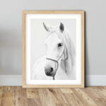Instant Download Prints White Horse Portrait Printable Wall Art