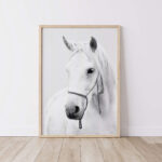 Stunning White Horse Digital Art Downloads Printable Wall Decor