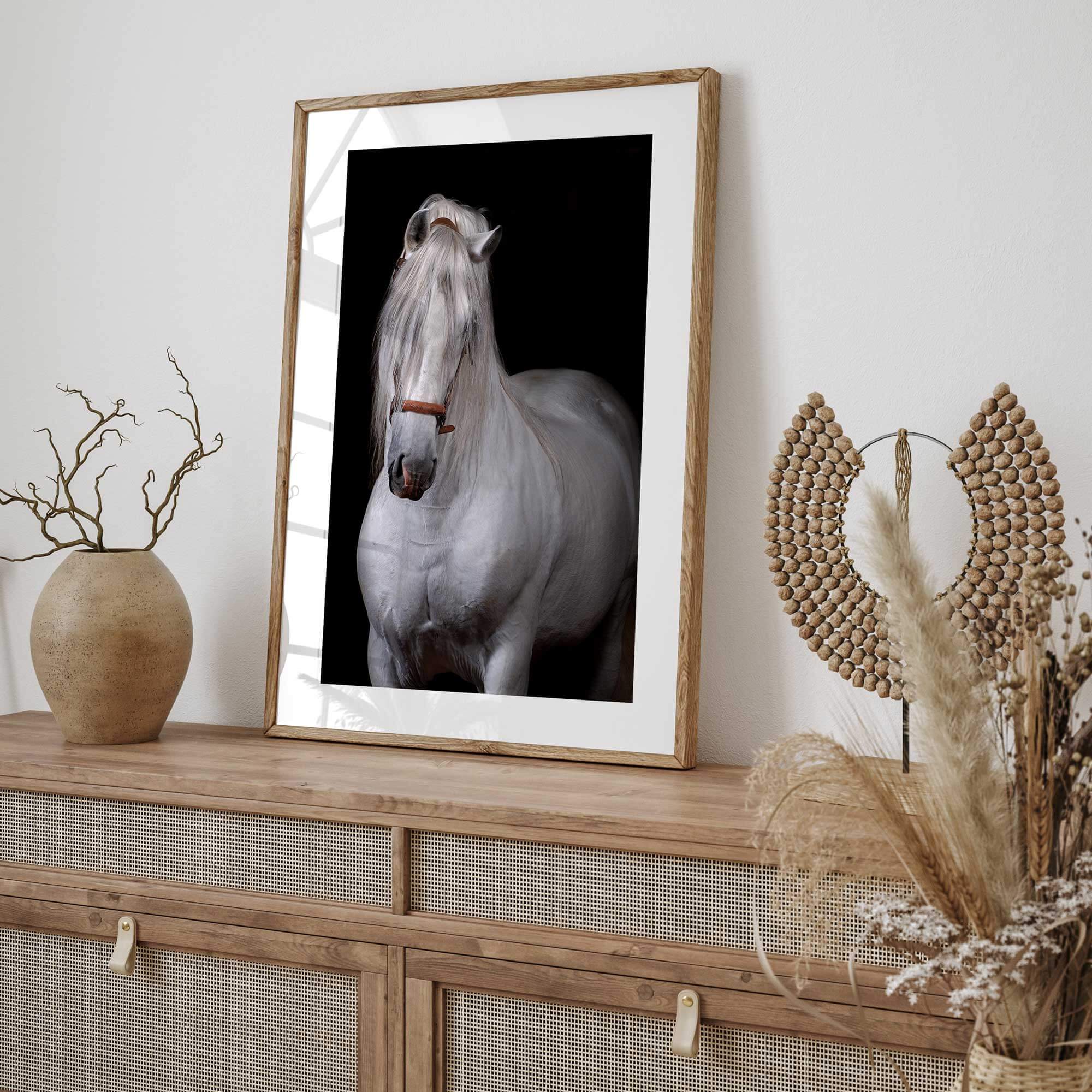 Digital Art Downloads Featuring Noble Spanish Stallion Portrait 0258