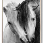 Downloadable Monochrome Horse Art Perfect for Animal Art Collectors 0249