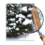 Holiday Season Sleigh Ride Printable Cozy Winter Art Download 0257