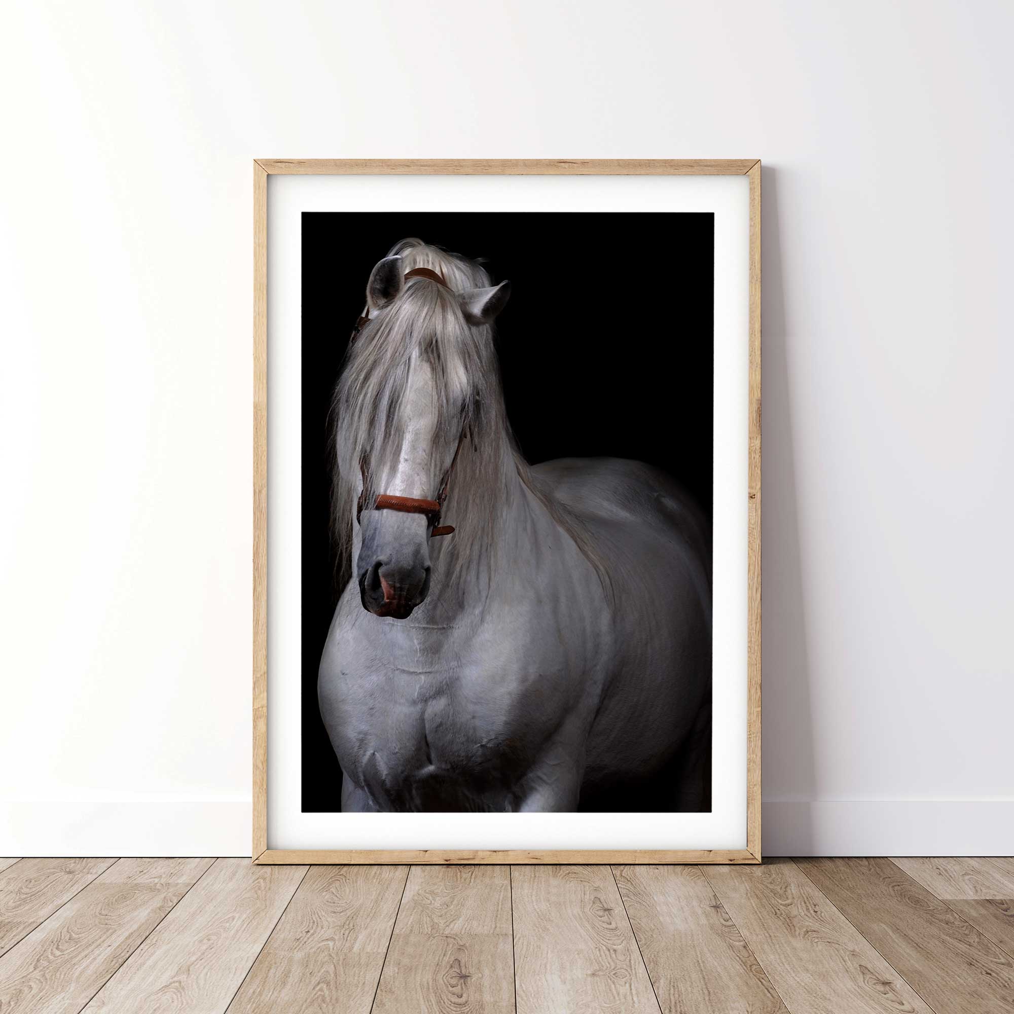 Instant Download Prints of Regal White Horse for Equestrian Lovers 0258