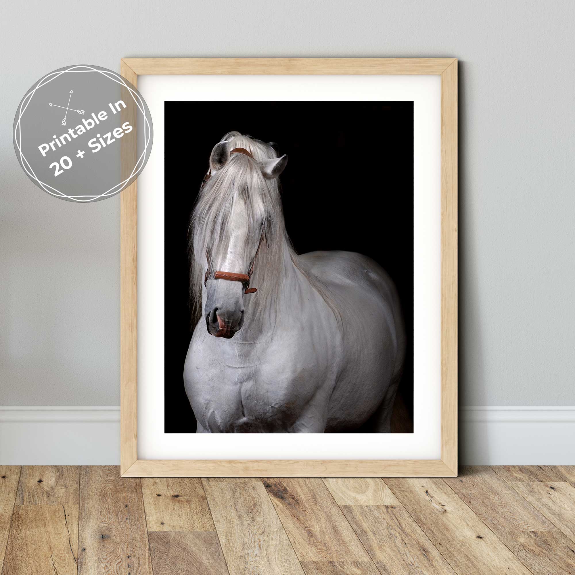 Nature and Botanical Spanish Horse Portrait for Instant Download 0258