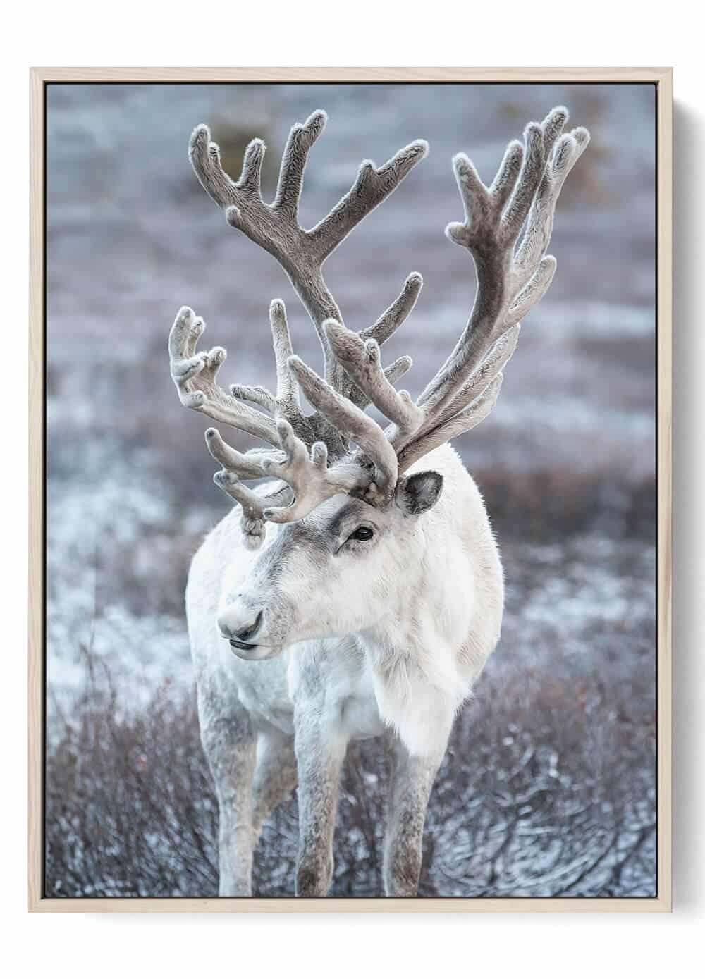 Printable Christmas Decor White Reindeer 0251