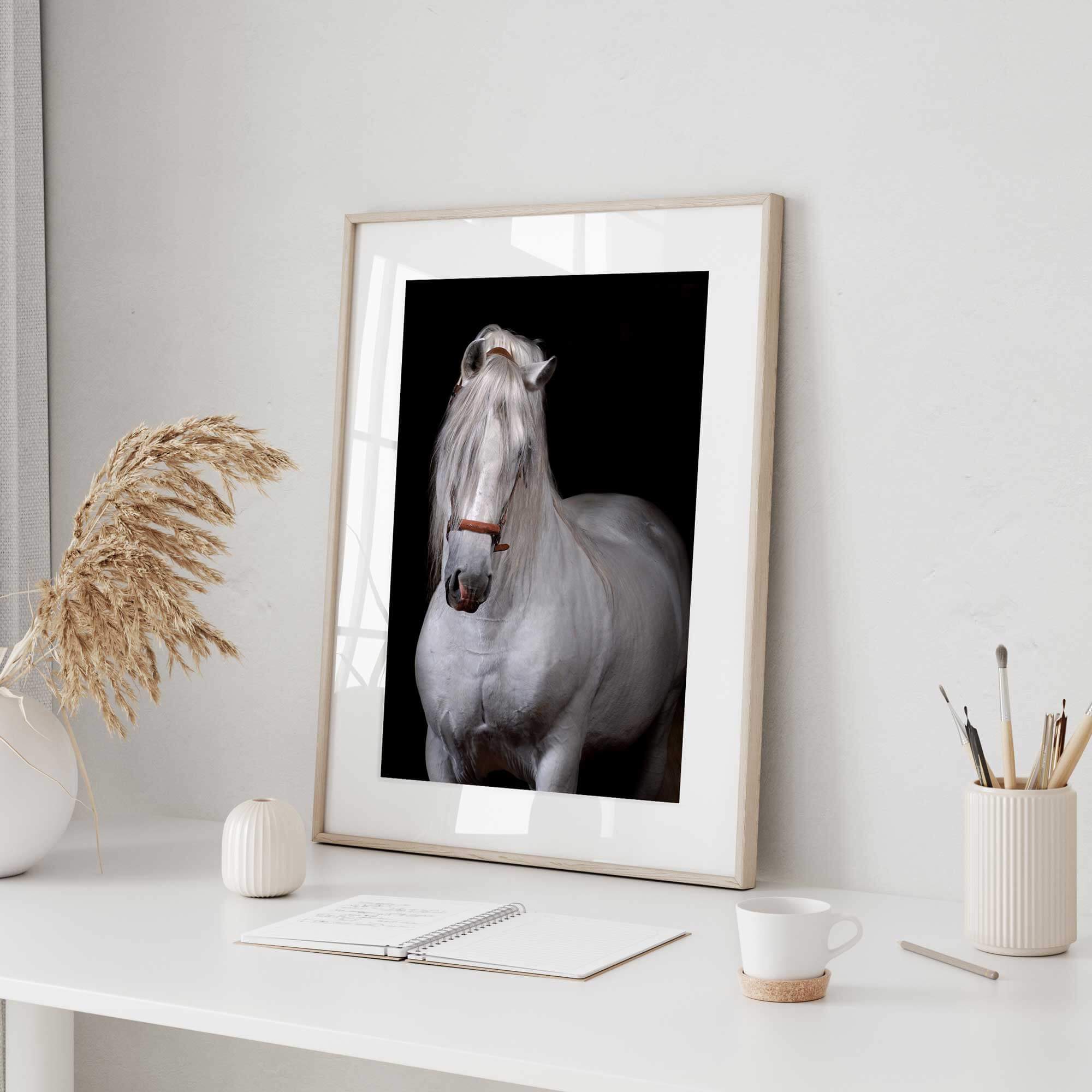 Spanish Stallion Art Print White Horse Digital Portrait Download 0258