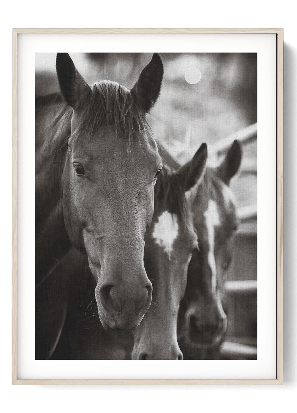 Farmhouse Style Horse Print Triple Equine Art 0267